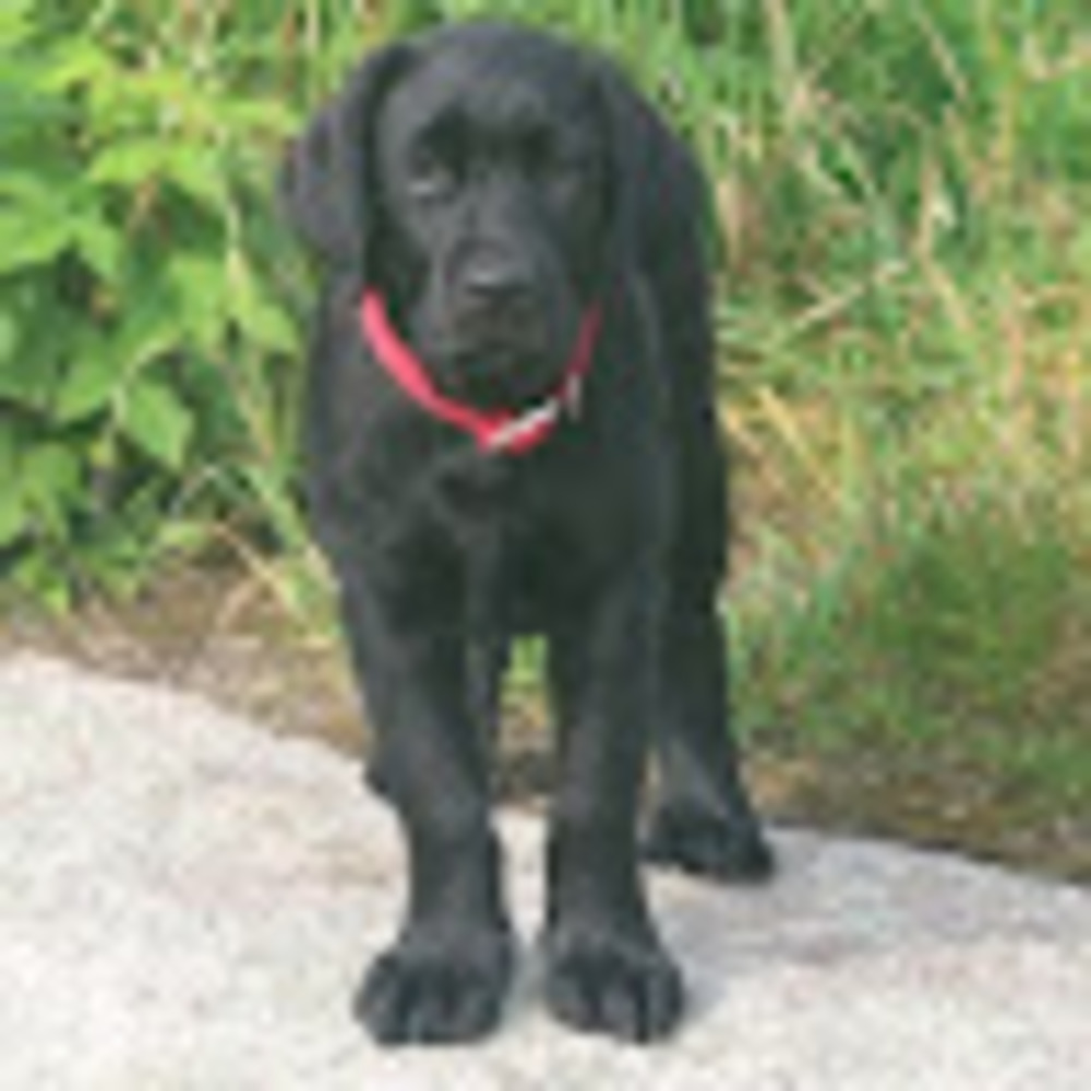 Meet your Posher, Teresa